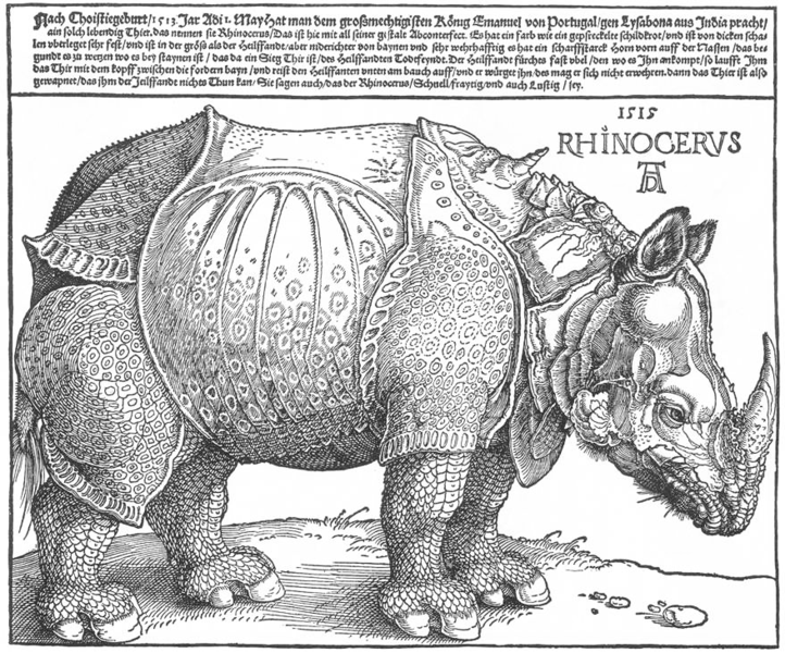 The woodcut is an incision made in relief. The matrix can be made on two different wood types: wire or head. 400 created the woodcut by Albrecht Dürer of Nuremberg. He made the most beautiful woodcuts ever made.